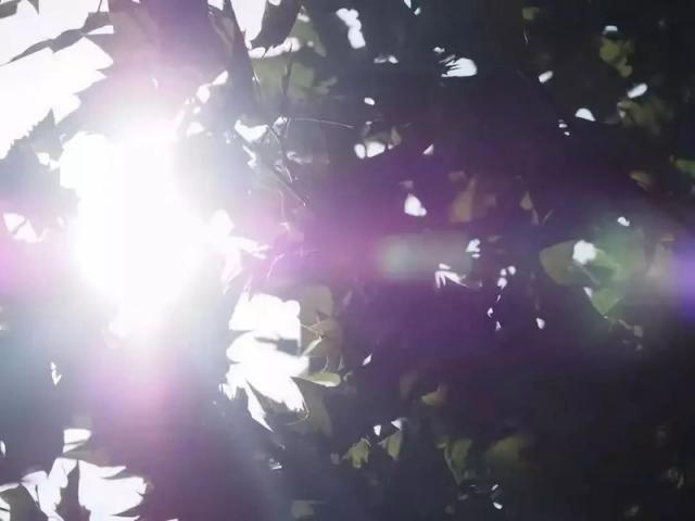 你到底该不该用它？遮光罩用途详解