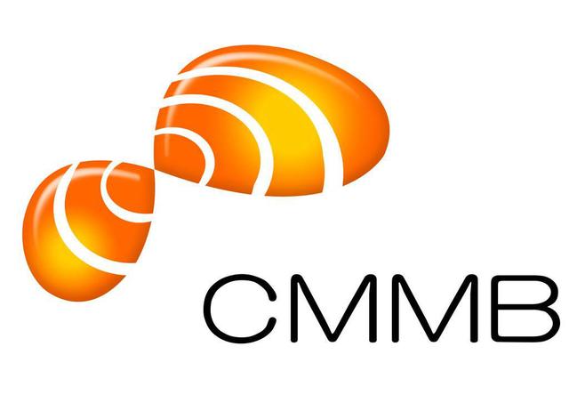 手持移动电视市场状况(cmmb电视还能看吗)