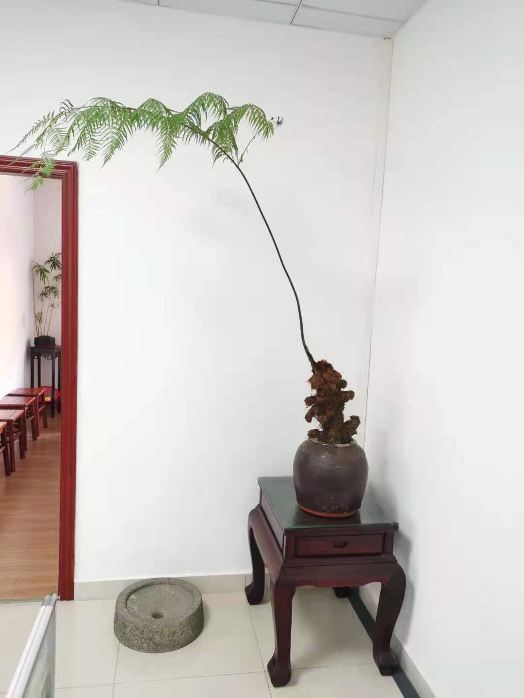 工控级定制彩屏工厂—宇锡Yousee