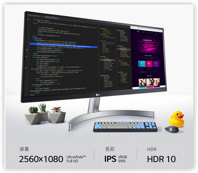 电脑显示器选购攻略（电脑显示器选什么样的比较好）
