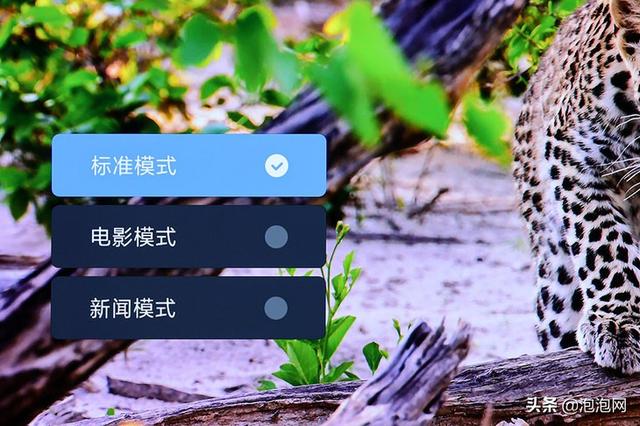 小米大师65寸oled评测（65寸oled电视哪个好）
