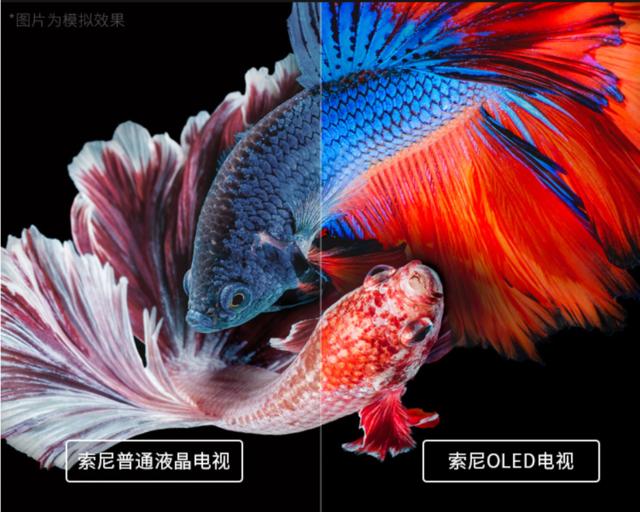 超薄电视全面屏电视oled电视是未来