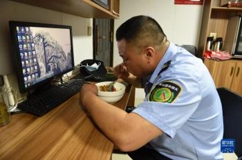 迎客松守松人胡晓春，放大镜检查迎客松树枝