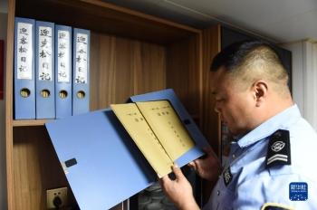 迎客松守松人胡晓春，放大镜检查迎客松树枝