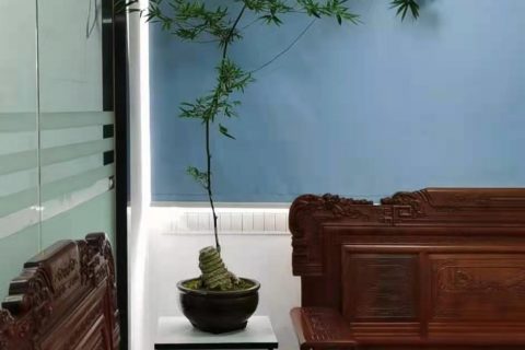 宇锡（Yousee）科技的宝贝之簕竹