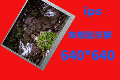5.6寸液晶屏ips640*640车规显示屏