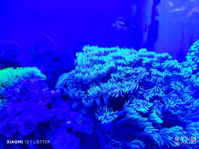 12寸液晶屏尺寸（12英寸显示屏是多少厘米）