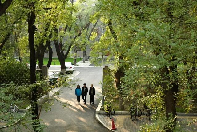 清华北大学生从小就是学霸吗（不是每一个清华北大学生出来都很优秀）