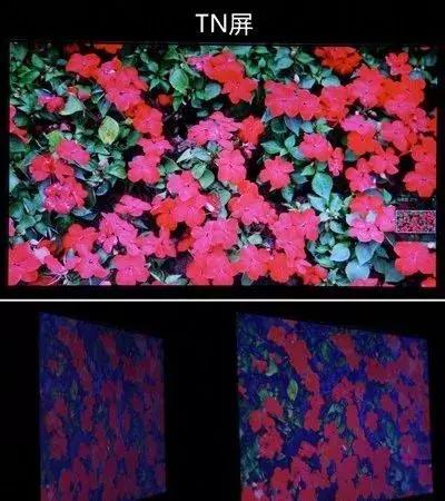 液晶屏和ips屏（ips技术屏和ips屏幕有什么区别）