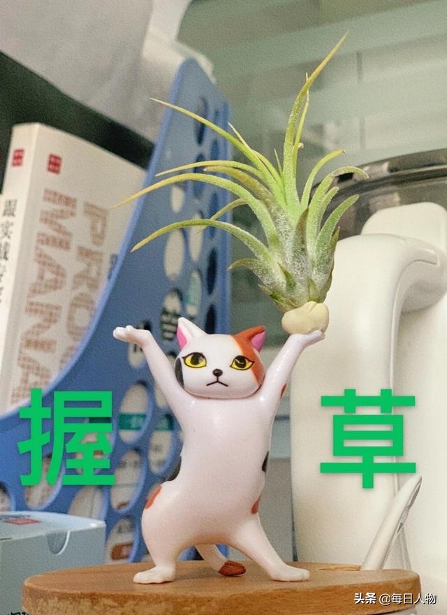 有什么上班摸鱼时可以做的事情（上班摸鱼可以做哪些事情）