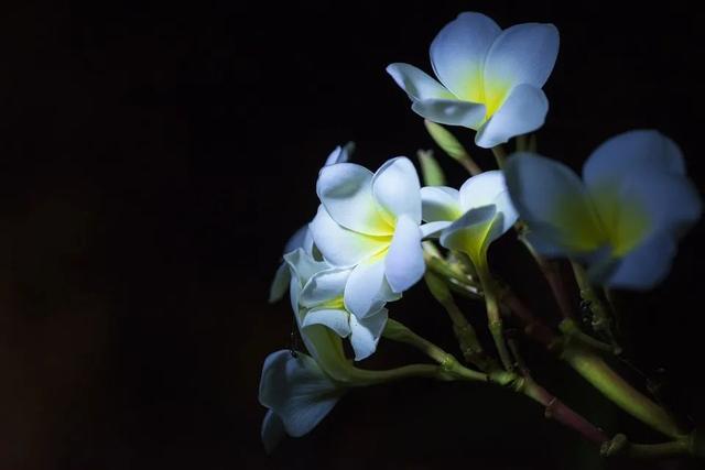 led液晶屏尺寸（led显示屏尺寸规格型号）