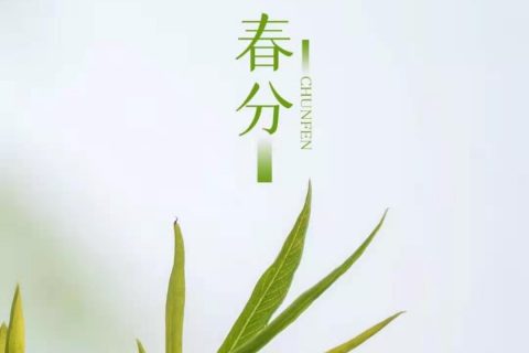 宇锡Yousee科技明天正式复工筑梦！