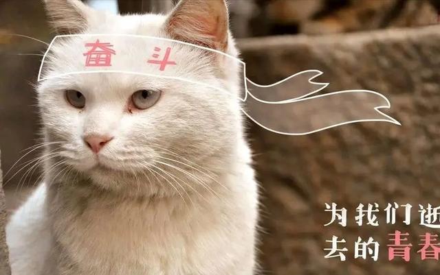 如何才能祛斑真正成功（30个祛斑的方法,教你怎么祛斑）