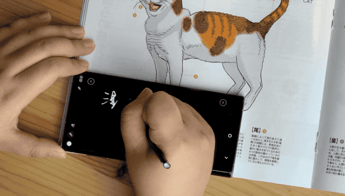 三星note10屏幕自然和鲜艳