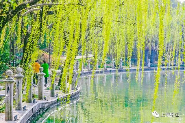 上海松江哪里有免费的公园（上海松江有哪些景点不要门票）