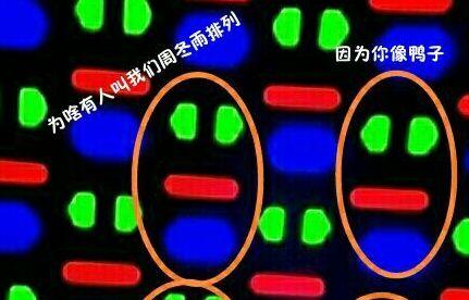 手机屏幕为什么叫周冬雨排列