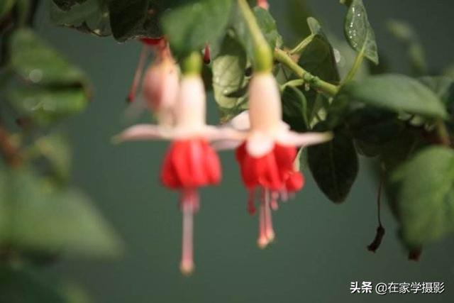 佳能相机取景器模糊雾蒙蒙一层（单反取景器模糊但拍出来的照片是清晰的）