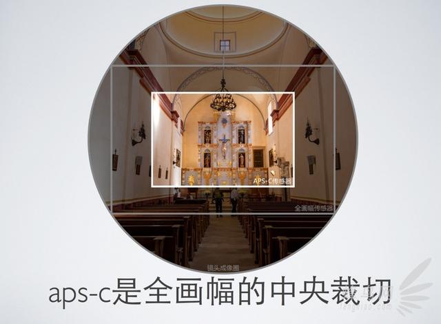新手用佳能什么型号相机好（佳能相机新手入门用什么比较好）