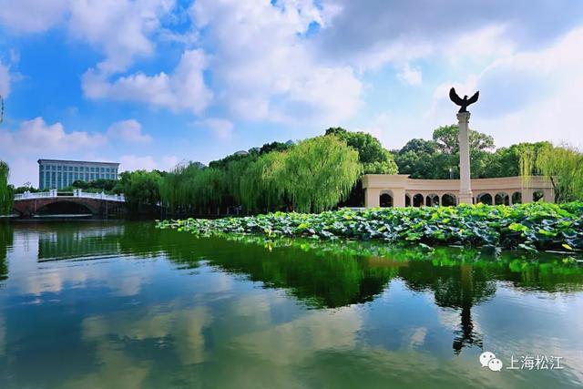 上海松江哪里有免费的公园（上海松江有哪些景点不要门票）