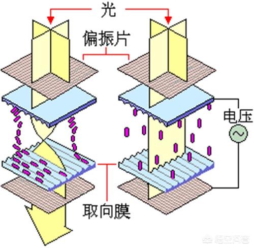 ic驱动 液晶屏（TFT液晶屏驱动IC型号）