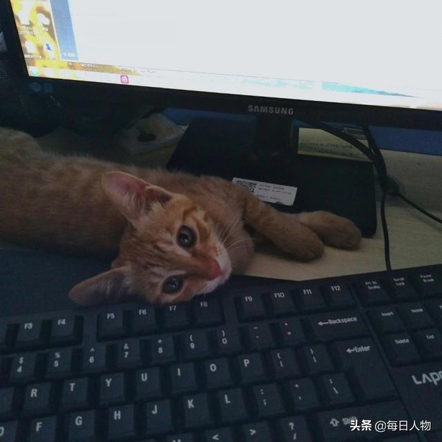 有什么上班摸鱼时可以做的事情（上班摸鱼可以做哪些事情）