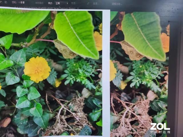 爱普生打印一寸照片
