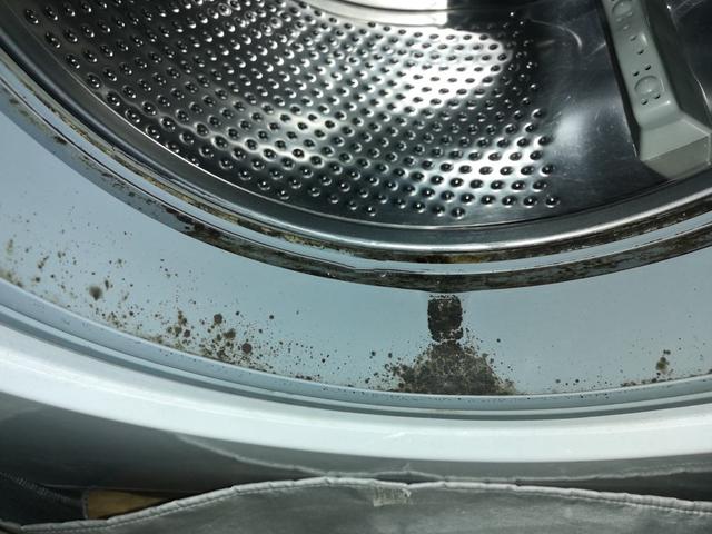 什么牌的洗衣机既实用又实惠（什么品牌的洗衣机质量最好又便宜）