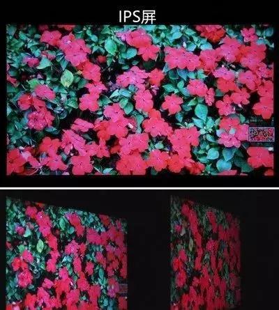 液晶屏和ips屏（ips技术屏和ips屏幕有什么区别）