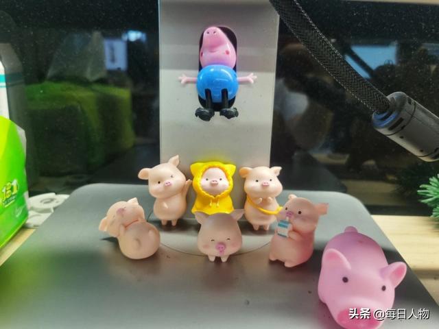 有什么上班摸鱼时可以做的事情（上班摸鱼可以做哪些事情）