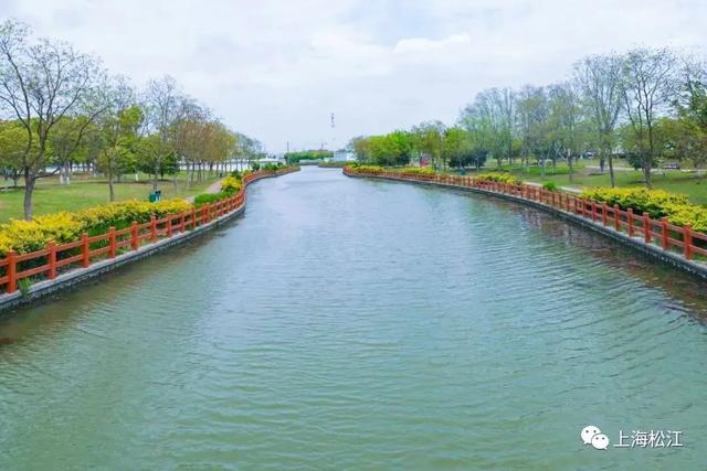 上海松江哪里有免费的公园（上海松江有哪些景点不要门票）