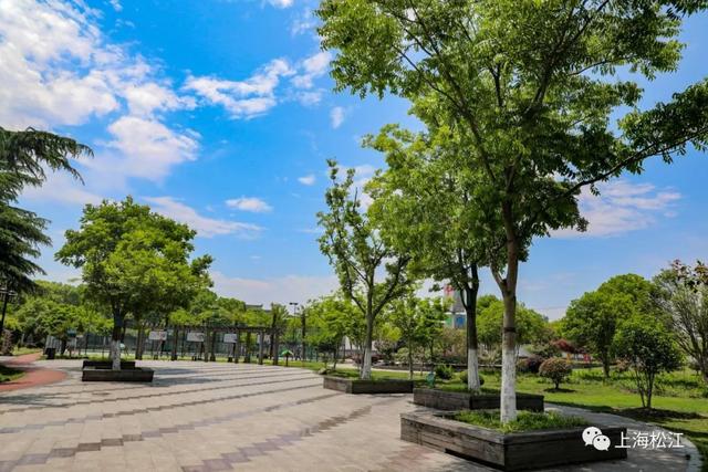 上海松江哪里有免费的公园（上海松江有哪些景点不要门票）