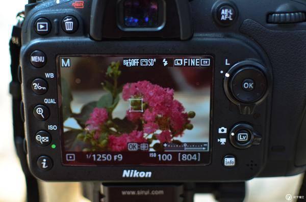 单反相机拍花卉技巧（拍鲜花用什么相机软件好）
