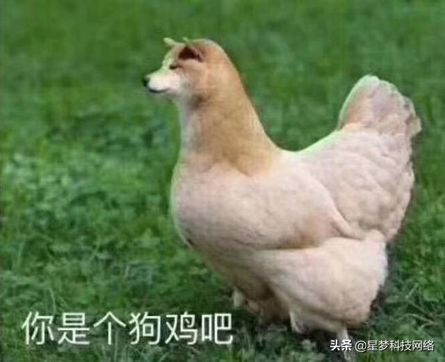 网购台式电脑怎么验机（网上买的台式电脑怎么验货）
