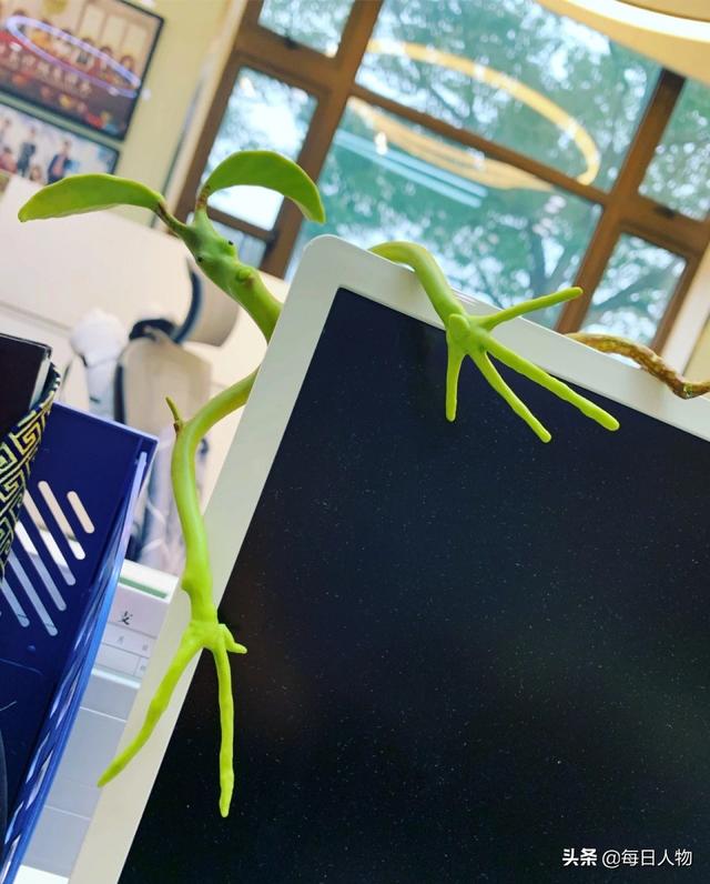 有什么上班摸鱼时可以做的事情（上班摸鱼可以做哪些事情）