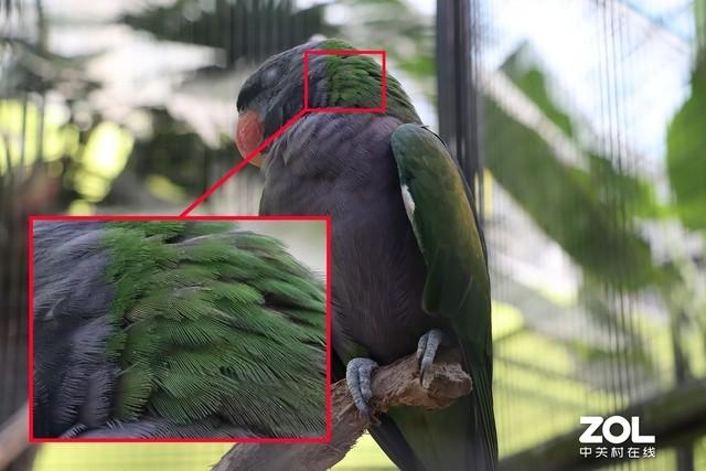 佳能eos90d是单反还是微单（佳能eos850D和EOS90D对比）