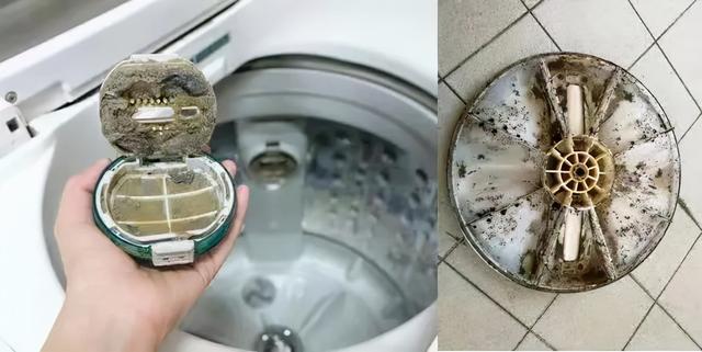 什么牌的洗衣机既实用又实惠（什么品牌的洗衣机质量最好又便宜）