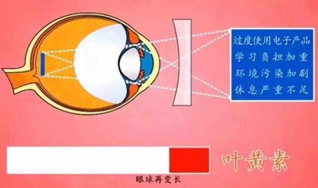 到了四十岁以上很快衰老的原因（四十岁女人衰老得快是什么原因）