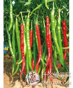 泡菜坛子第一次使用怎么处理这坛子（新买的泡菜坛子怎么处理才可以用泡）