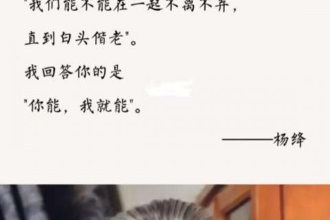 圆形液晶屏有哪些尺寸，运用？圆形液晶屏哪个屏厂做得好？