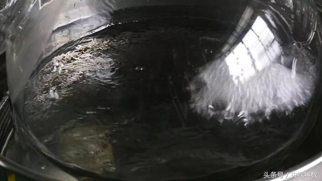 液晶显示器里的液体是什么（液晶显示器里面的液体叫什么）