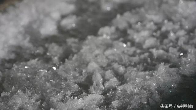 液晶显示器里的液体是什么（液晶显示器里面的液体叫什么）