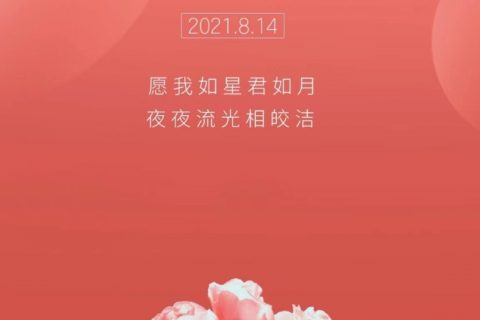 何止七夕，但愿朝夕