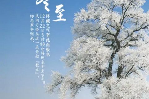 《今年的“冬至”特别“寒冷”》