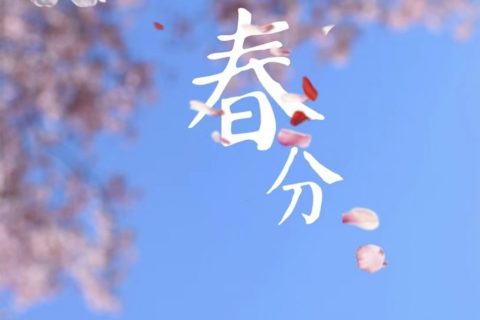 总有一场雨等待宇锡