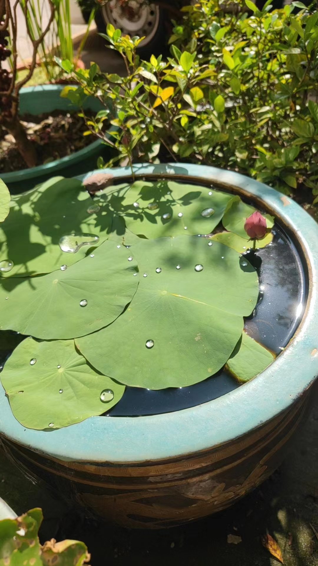 需要-40℃低温工作AMOLED液晶屏带触摸总成怎么办？找深圳宇锡科技