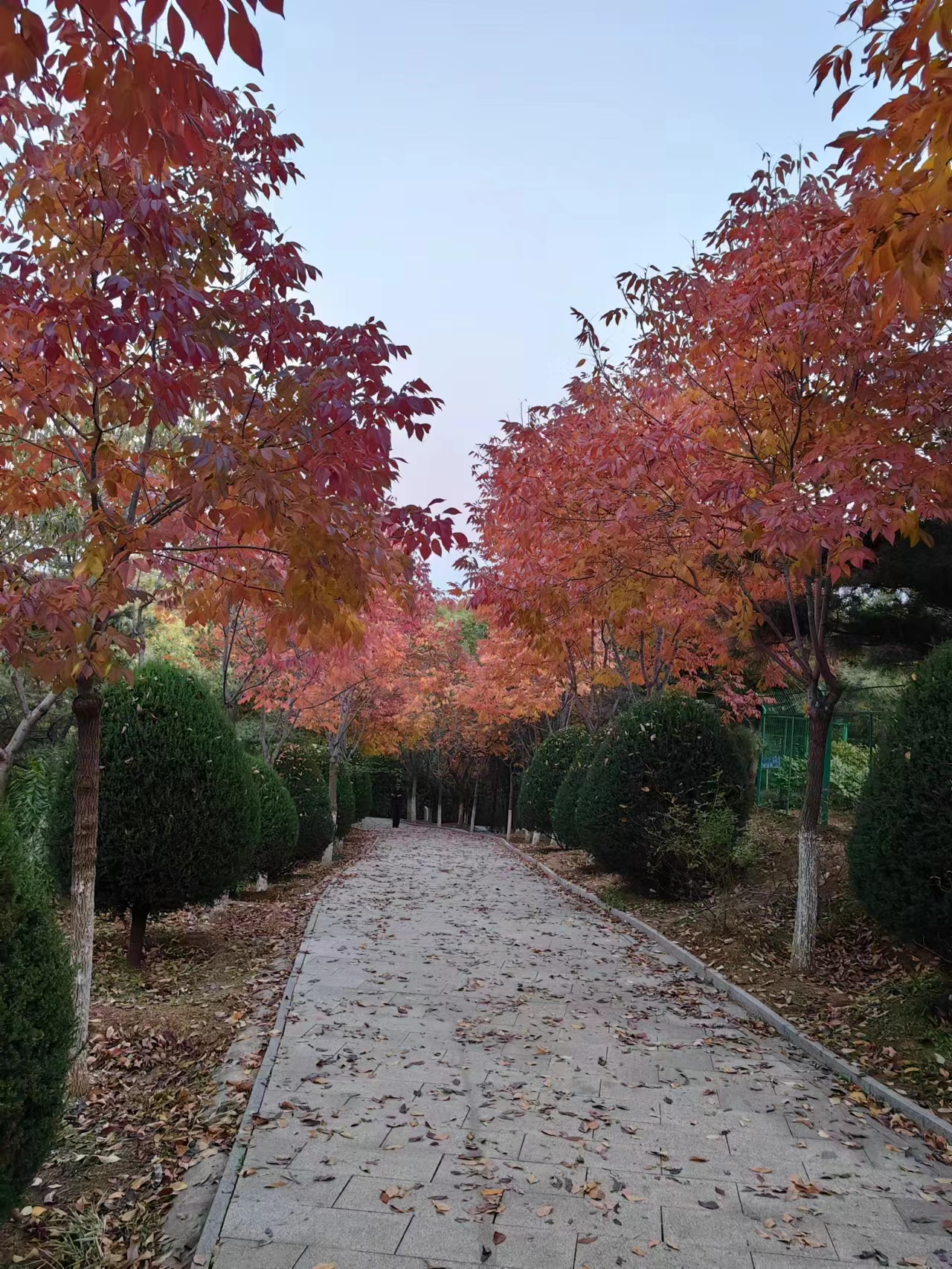 做一个感恩的工厂，服务高端客户