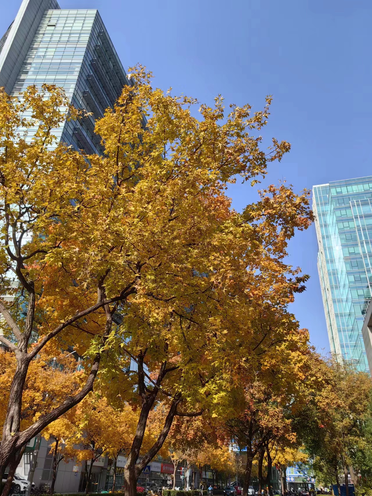 深圳宇锡—专注中国最高端运用场景的液晶模组&研发生产