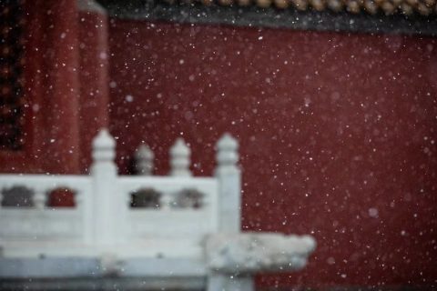 今朝若是同淋雪，此生也算共白头