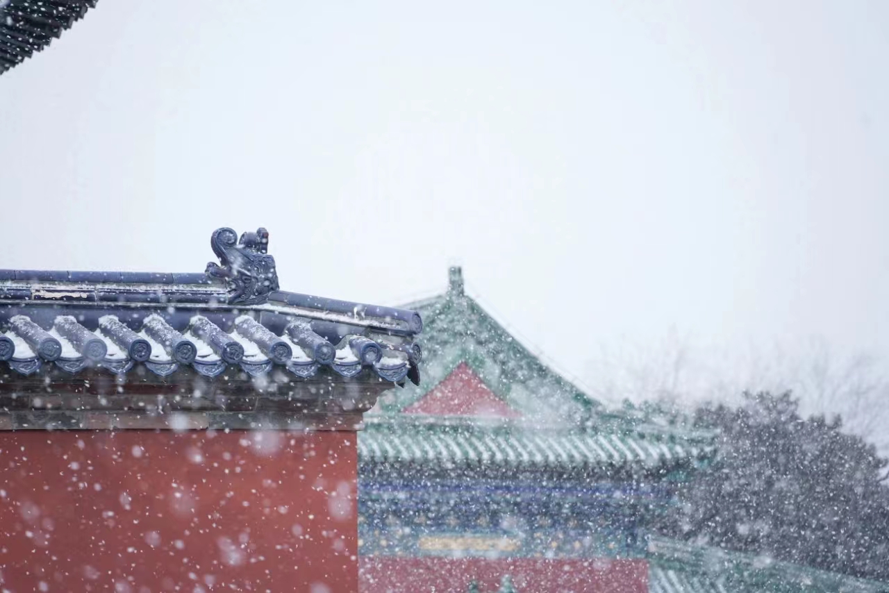 今朝若是同淋雪，此生也算共白头