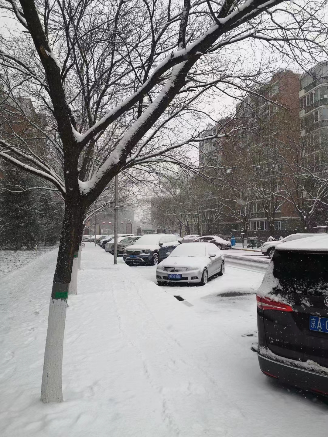 今朝若是同淋雪，此生也算共白头